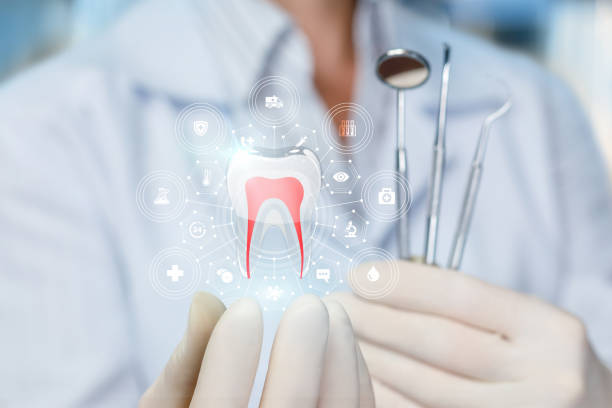 Best Preventive Dentistry  in Huntingtown, MD